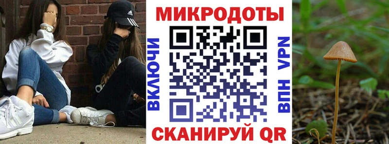 kraken зеркало  Волжск  Псилоцибиновые грибы MAGIC MUSHROOMS 